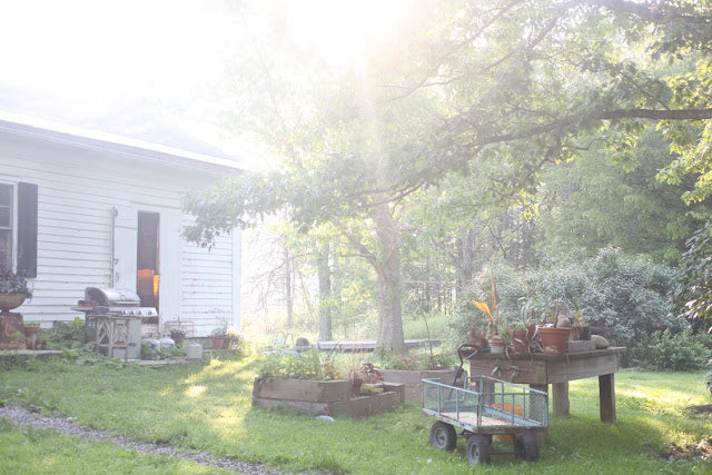 musings on the shifting landscape of FLORISTRY